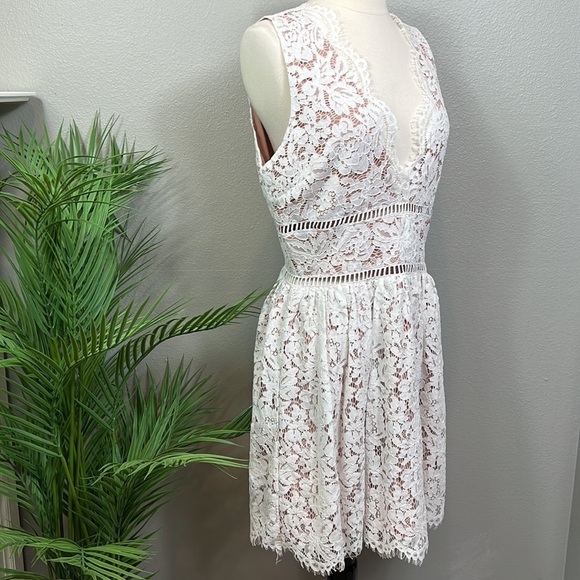 NWT Tobi Lace Midi Dress Fit Flare Cream Lace Nude Underlining Large - Picture 5 of 11
